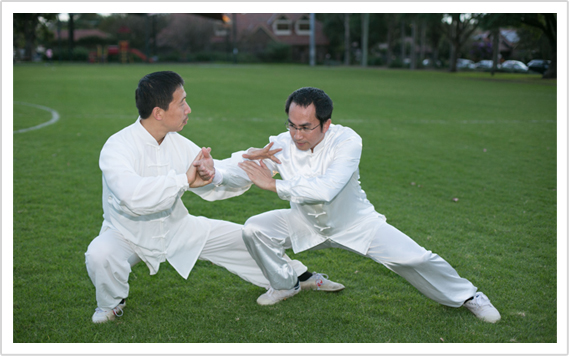 tai chi self defense techniques